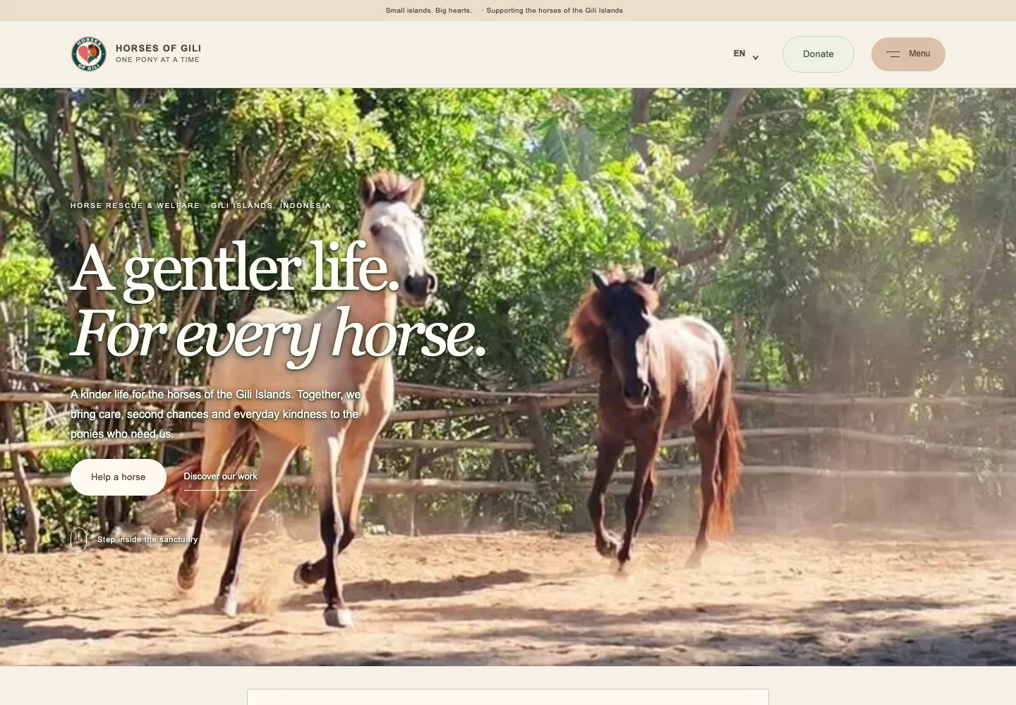Captura real de la nueva web de Horses of Gili